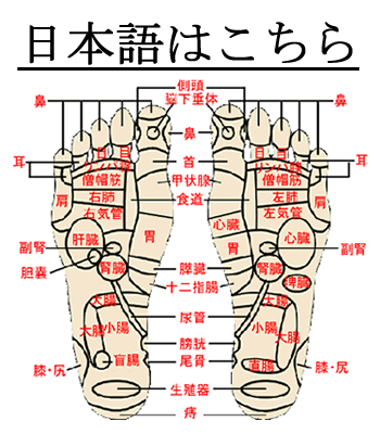 足つぼ図 足裏つぼ図指圧 Shiatsu Japanese Foot Reflexology Massage